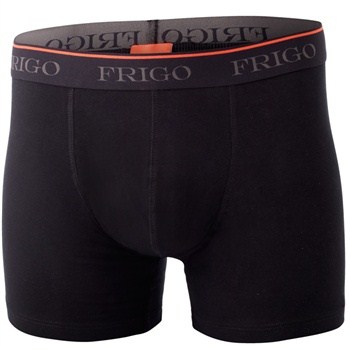 Frigo Boxer 1-1101